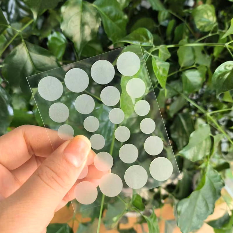 24 Regular Transparent Hydrocolloid Acne Patches
